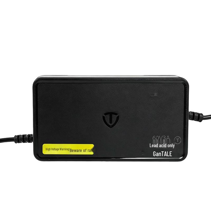 Tailg Electric Vehicle Smart Lead-Acid Battery Charger CN plug (adapter included)