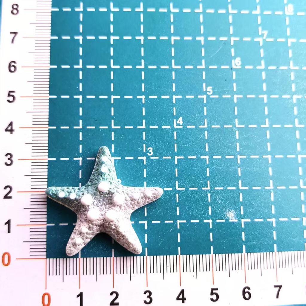 Gradient Rainbow Starfish Resin Phone Case & DIY Jewelry Hair Accessories