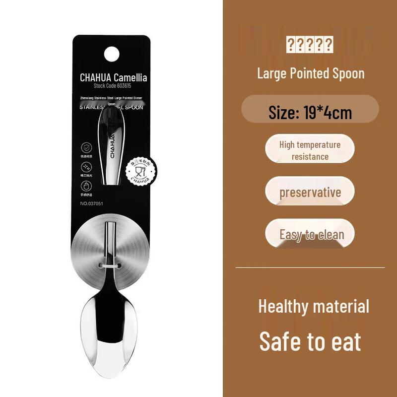 

Stainless Steel Dinner Spoon