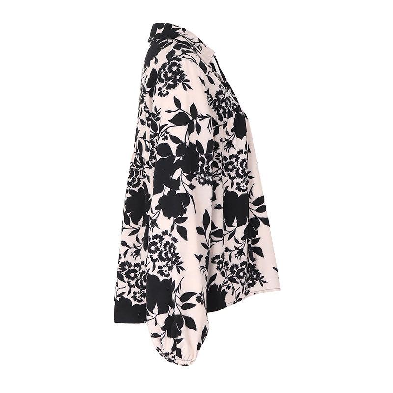 Spring and Autumn Women's Shirts Fashion Printing Temperament Elegant Shirt Long Sleeve Blouse