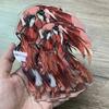 Mo Dao Zu Shi Action Figure Acrilica Wei Wuxian Lanwangji Modello Standing Matrimoniale Decorazione Perfetta per Scrivania Per Fan di Anime