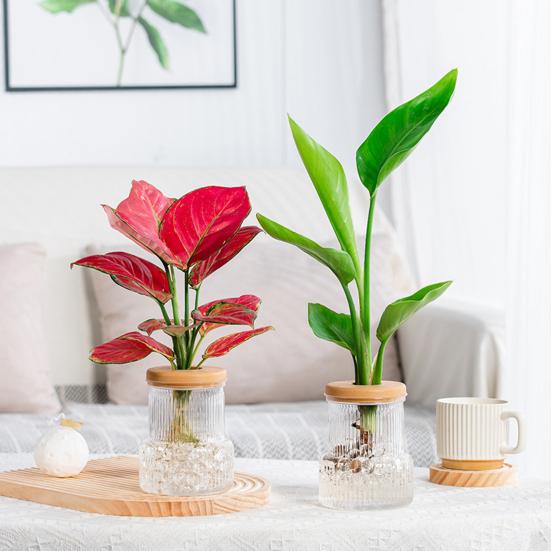 Self-Watering Planter Imitation Glass Vase Hydroponic Plant Pot Transparent Water Storage Tank Mini Desktop Planter for Home Office Decor