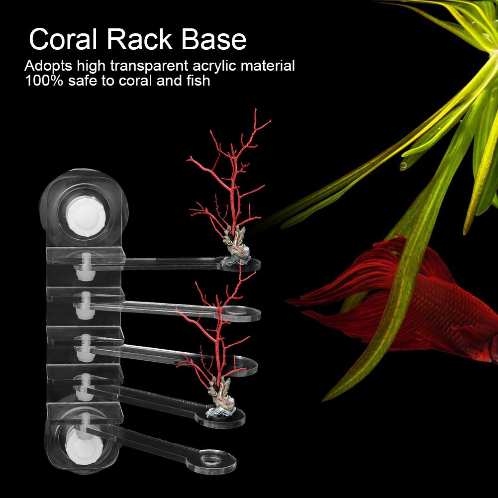Acrylic Transparent Aquarium Five Claw Life Tree Shape Coral SPS Button 5 Hole Frag Rack Base Fish   Accessories