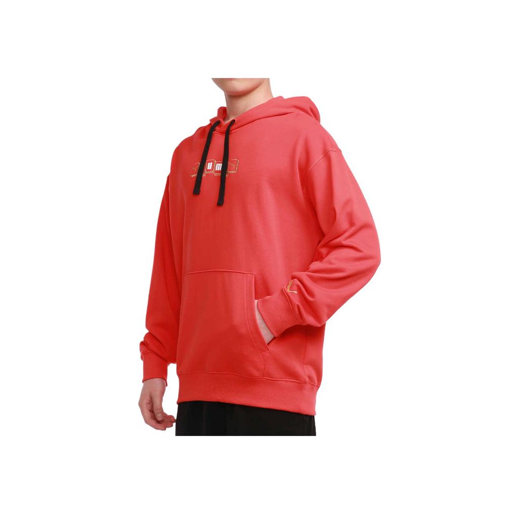 Puma Printed Sports Pullover Hoodie Men Hoodies Red 531299-23