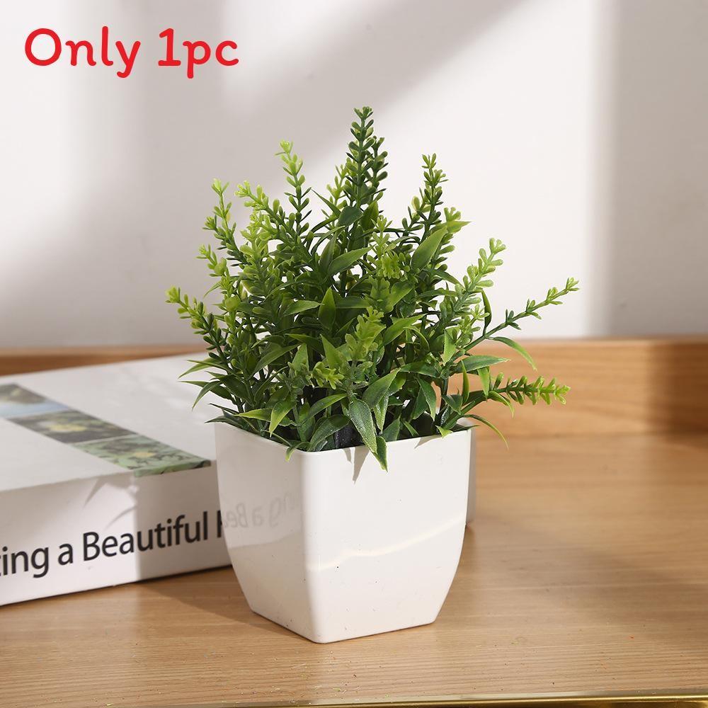 Eucalyptus Potted Greenery Plant For Indoor Living Styling Room