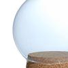 Display Cloche Ball Shaped Flower Jar Dome Immortal Preservation, Miniature Dollhouse Container with
