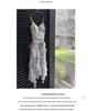 Elegant Summer Floral Camisole Dress for Women - Waist-Cinching, Slimming, Perfect for Beach Vacations