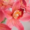 Yousheng 6Pcs Simulated Cymbidium Bouquet Real Touch Artificial Flowers No Withering Fading Vibrant Color Fake Flower