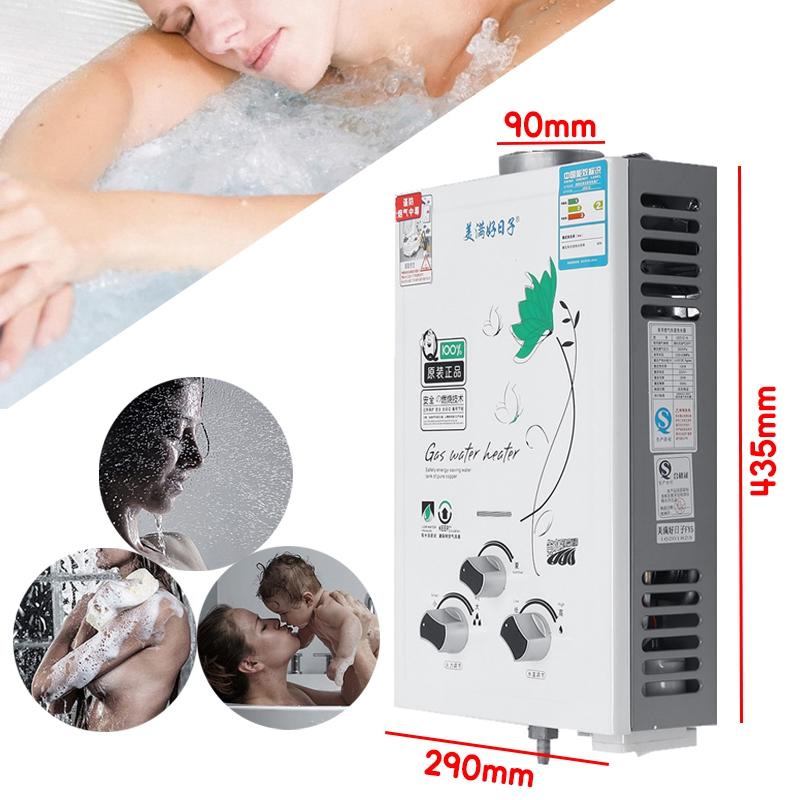 10KW 6L Thermostat Fast Heating Hot Shower Multifuncitonal Wall Mounted Hot Water Heater Gas Tankless Water Heater
