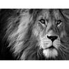 5d Animal Diamond Mosaic Painting Painting Lion And Sheep Rhinestone Pictures Art Cross Stitch Kits Home Decors Gifts