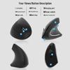 Ergonomic Dual-Mode Bluetooth Silent Gaming Mouse with Luminous Design