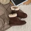 Leather Snow Boots Wool Mouth Short Boots Women's Autumn and Winter Fleece Cotton Boots Side Zipper Retro Flat Boots