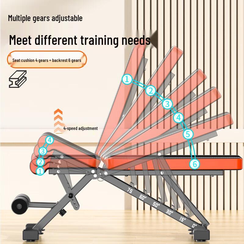 Adjustable Dumbbell Bench