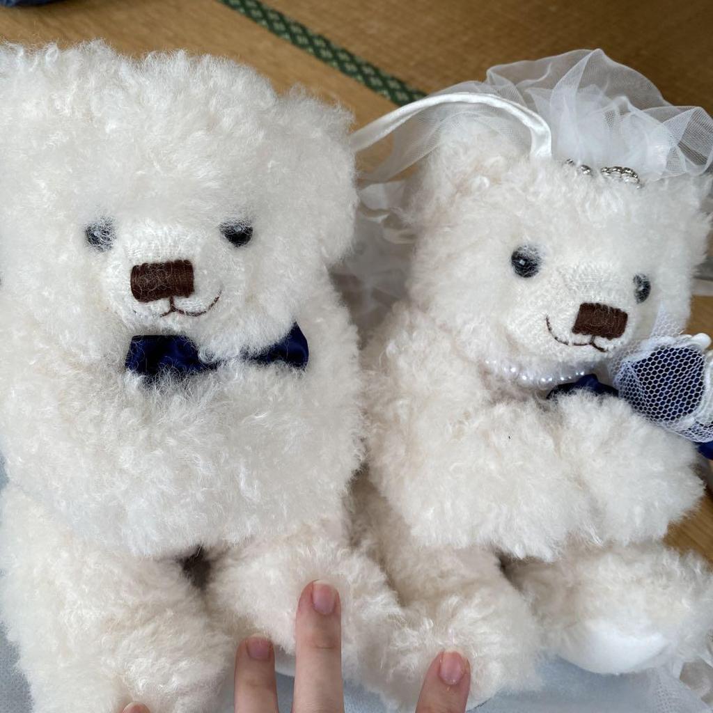 [USED] 4℃ Teddy Bear