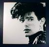 LP Record CHARLIE SEXTON  Pictures For Pleasure MCA5629 MCA Records 1985 US Rock Used