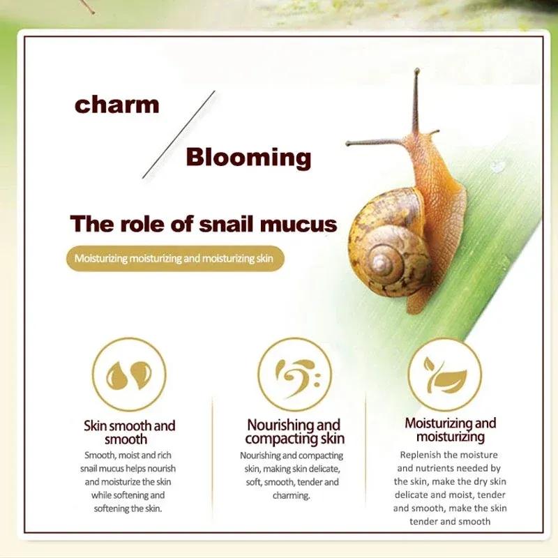 Skincare Set Snail Collagen Cream Anti Aging Whiten Skin Face Cream Fade Dark Eye Circles Remove Eye Bags Eye Serum