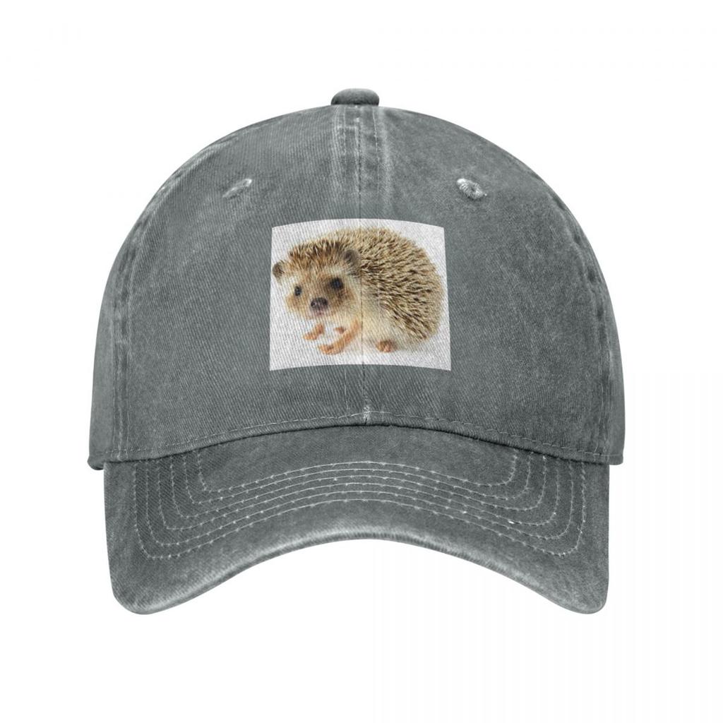 Cute Baby Hedgehog Baseball Cap Rave Hat Luxury Brand Beach Hat Unisex Luxury Unisexs Hats Womens