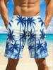 Summer Beach Style 3D Printed Loose Plus Size Quick Drying Shorts