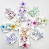 3Pcs Colorful Gradient Color Flower Hair Claws Sweet Barrettes  Shark Clip For Women Girls Beach Hair Accessories Gifts