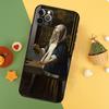 Johannes Vermeer Telefoonhoesje Voor iPhone 17 Pro Max 17Air 16E 15 14 13 12 11 16 Pro Max Mini Schokbestendige Hoes