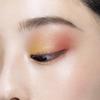 POLA B.A 3D Oasis Eye Color 03 [Eye Color] 8.3g