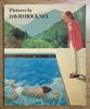 [USED] Pictures by DAVID HOCKNEY