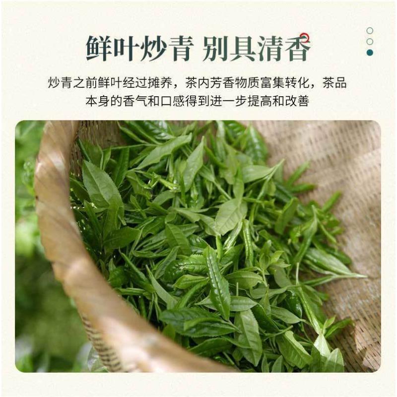 Grüner Tee Grüner Biloba Roll Grüner Tee Neuer Tee Starker Duft Typ Extra 100g