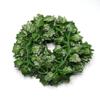 2M Simulation Green Vine Decoration Plastic Ivy Vine Scene Decoration Props Simulation Green Ivy Leaf Vine Decor GreenVine Decor