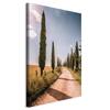 Image - Italian Cypresses (1-Part) Vertical