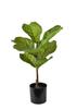 Viridis Artificial Flower Ficus 13X13X56Cm In Pot