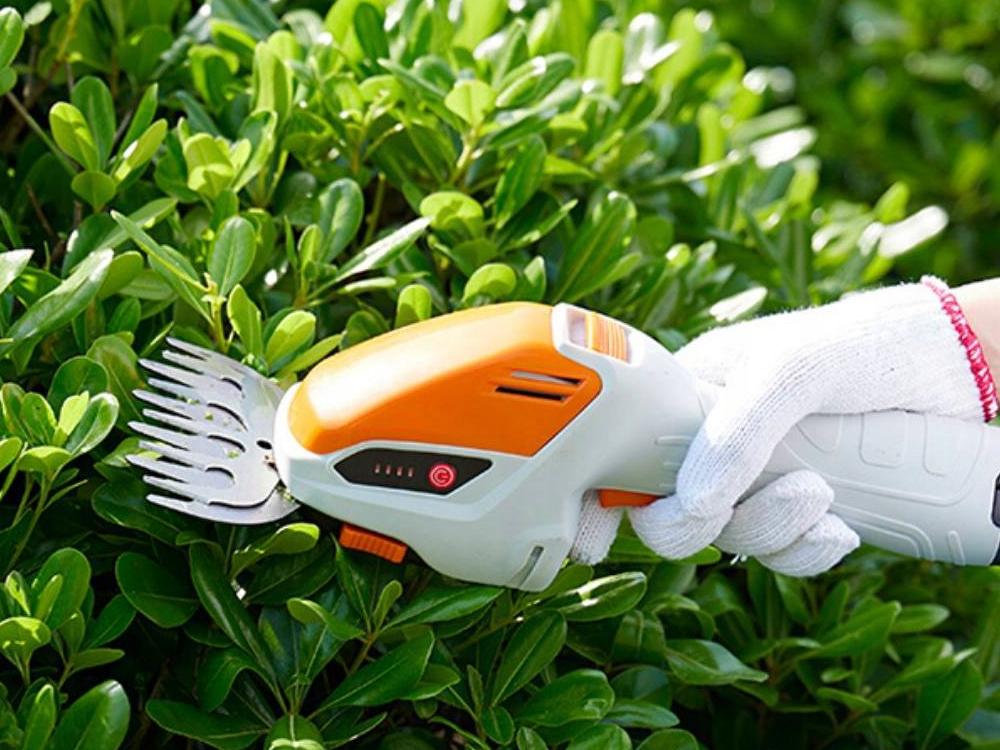 Hedge Shears Dl-0121 (12) Gab_B