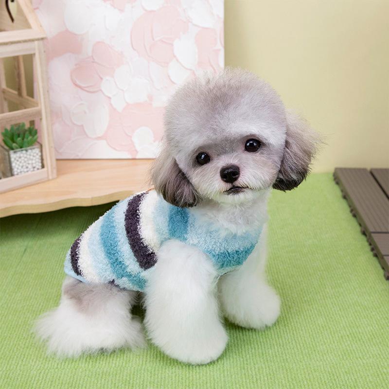 Dog autumn and winter clothes Small dogs keep warm in winter and prevent hair loss Winter clothes Pomeranian can pull rainbow velvet vest pets