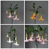 Real Touch Morning Glory Elastic Big Artificial Datura Flower Decoration   Wedding