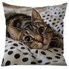 1/2pcs Cat Throw Pillow Cover, Cute Animal Throw Pillow, Bedroom Home Sofa Decorative Cushion Cover