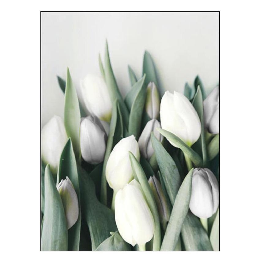 Weiße Tulpe, grüne Sukkulenten, Aloe, Monstera, Pflanzenkunst, nordisches Poster, Leinwandmalerei und Druck von Wandbildern für die Wohnzimmerdekoration