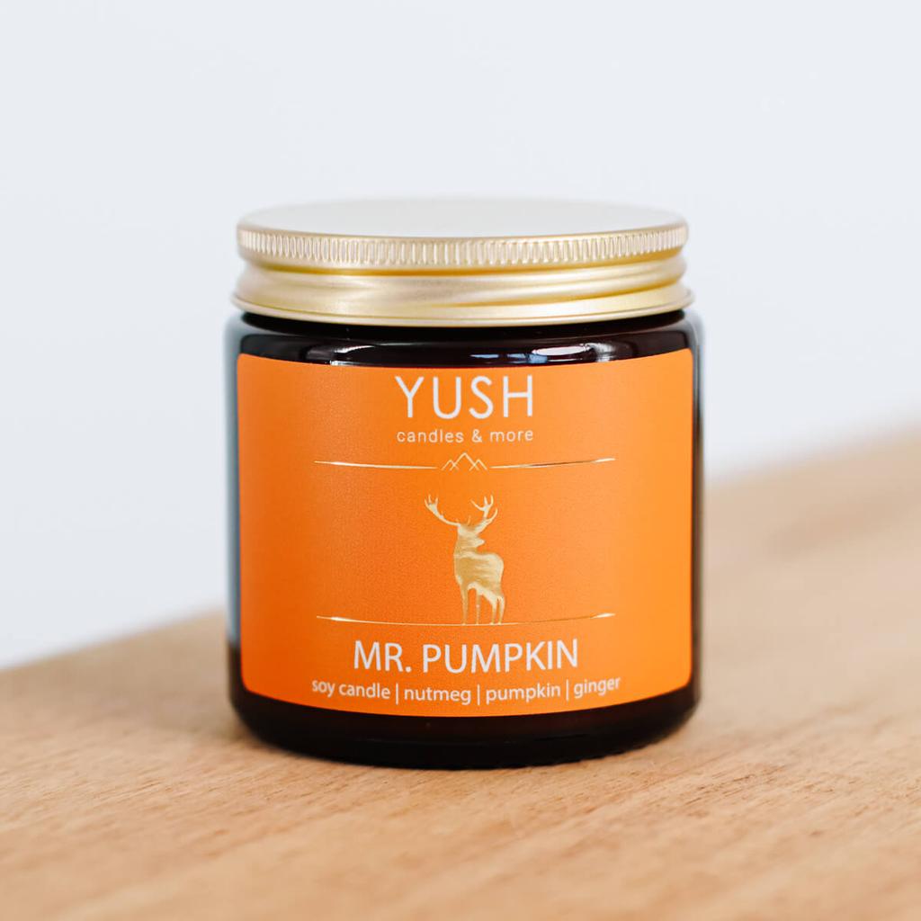 Mr. pumpkin -świeca sojowa dyniowa korzenna imbirowa - yush - 120ml