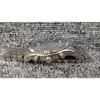 Used MICHAEL KORS MK-8280 Quartz Analog Watch