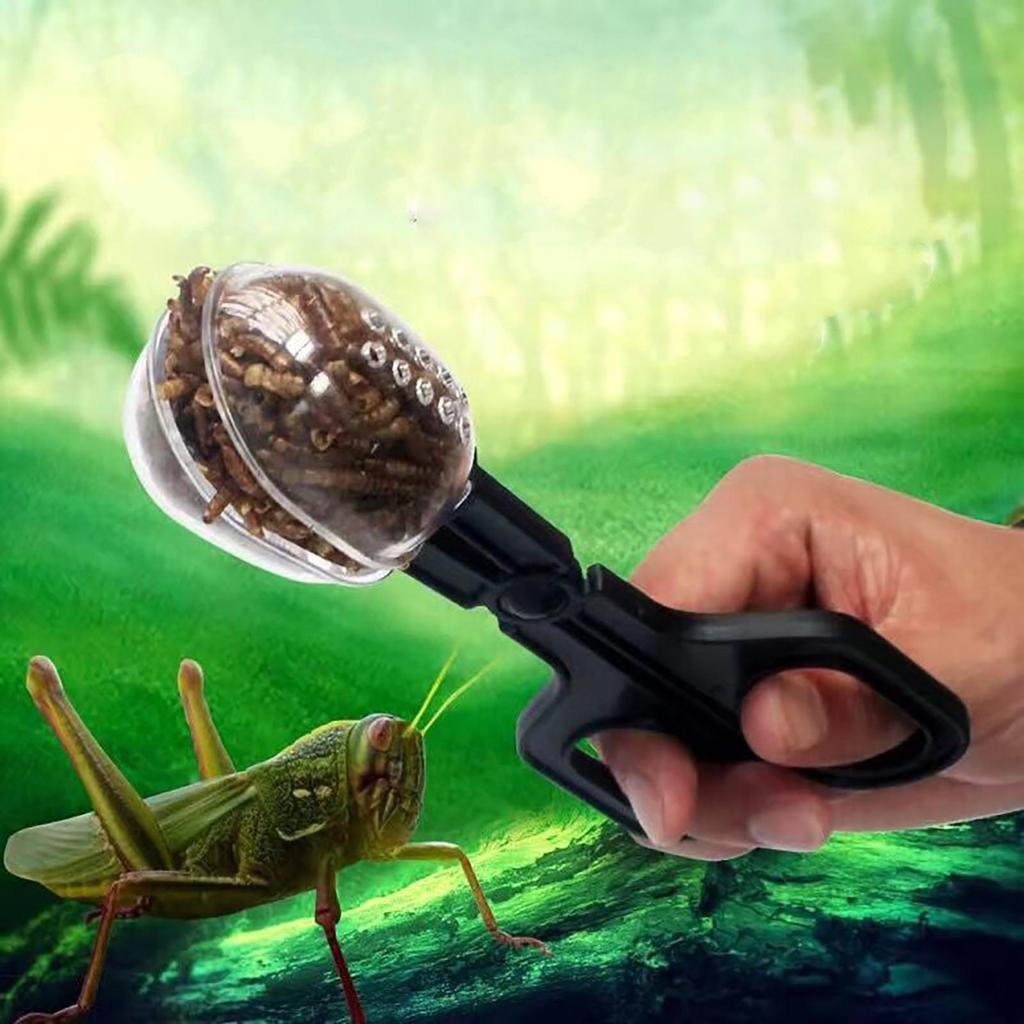 Pliers Clip Feeding Tongs Beekeeper Bee Catcher For Reptile Hunting Catcher