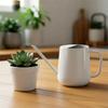Watering Can Indoor for House Plant Small Watering Can with Long Spout Flower Model Sprinkler Indoor Plant Watering Pot