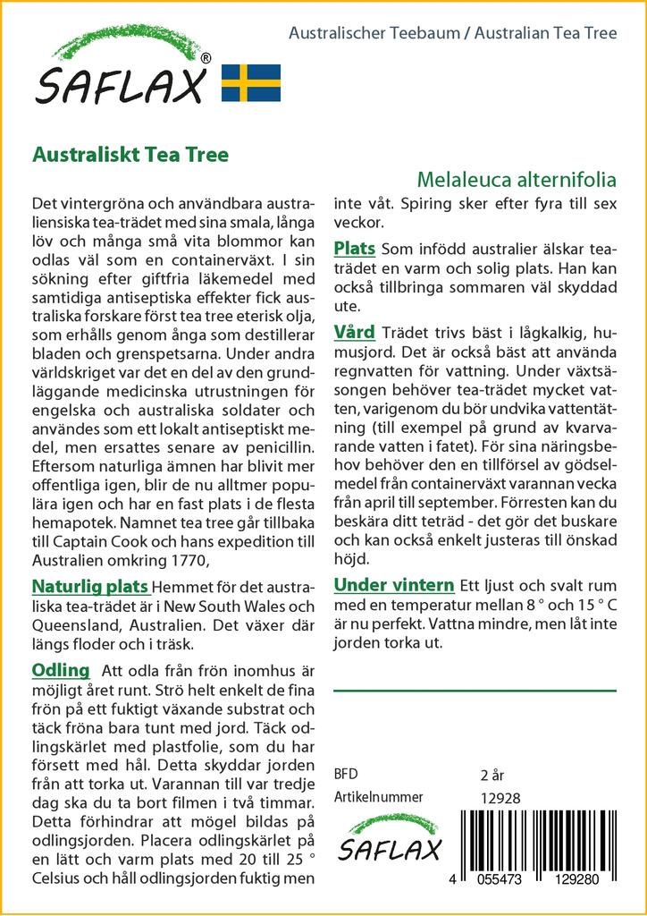 SAFLAX Australian Tea Tree - 400 Seeds - Melaleuca Alternifolia