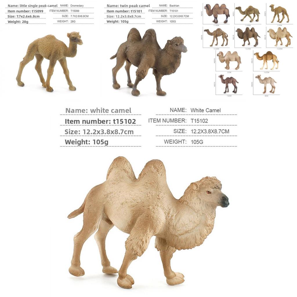 Wildlife Pvc Model Collection With Realistic Desert Camels For Classroom Decor