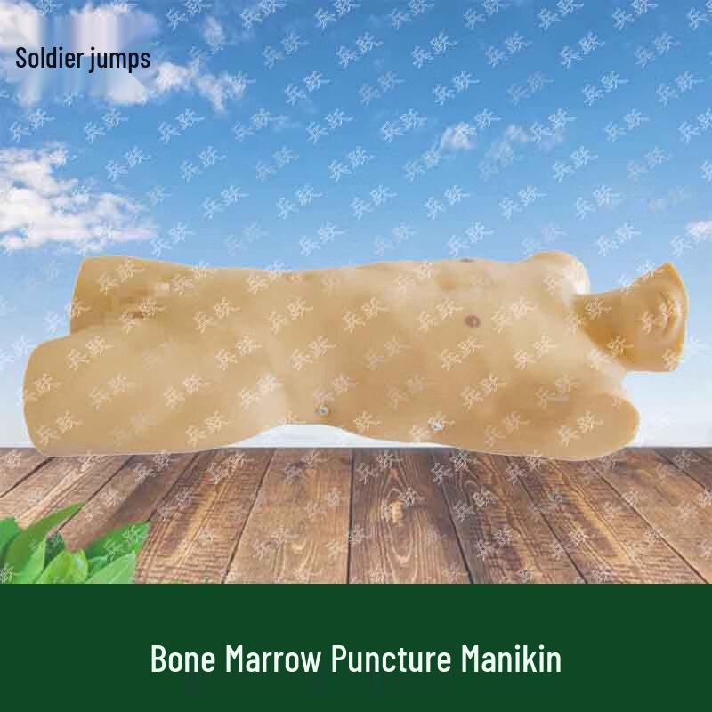 Bone Marrow Aspiration Training Model