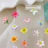 3D Silicone Flower Nail Art Carving Mold Resin Lily Floral Starfish Diy Nail Art Decoration Transparent Template For Nail Charms