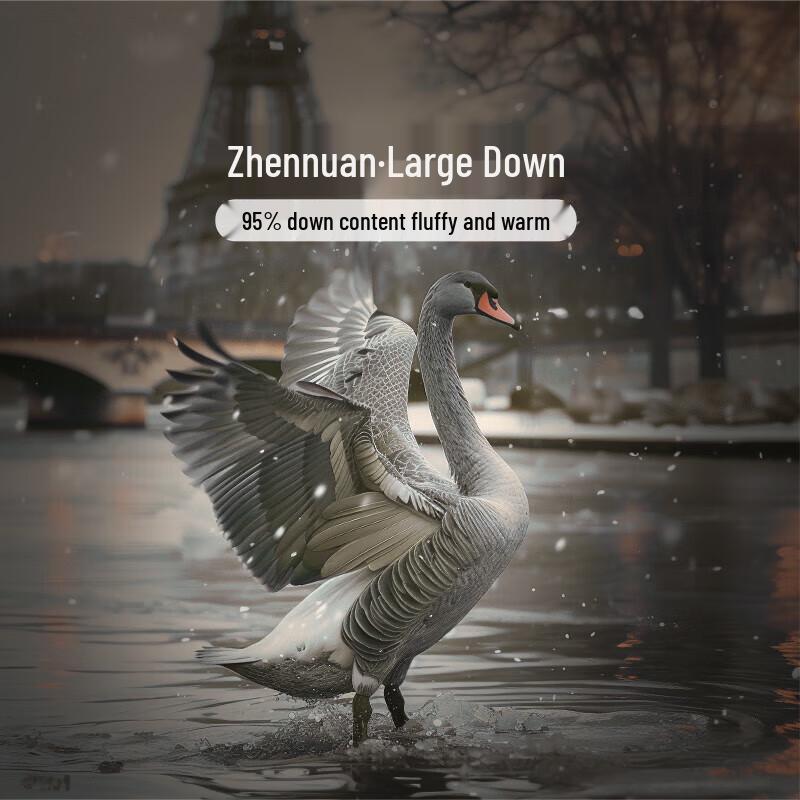 FUANNA 95% Grey Goose Down Winter Comforter - Paris Grey, 152x210cm