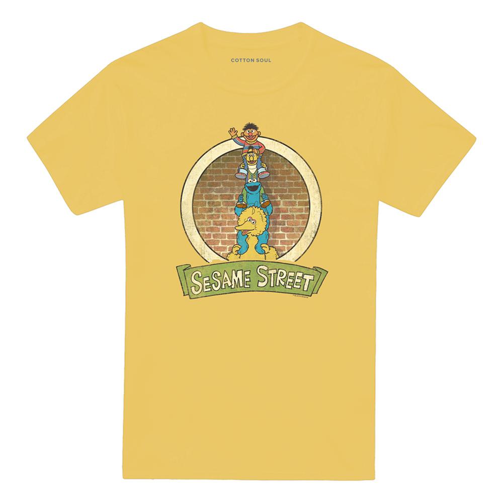 Sesame Street Unisex Adult Group T-Shirt