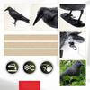 Black raven - an effective bird repellent and garden decoration