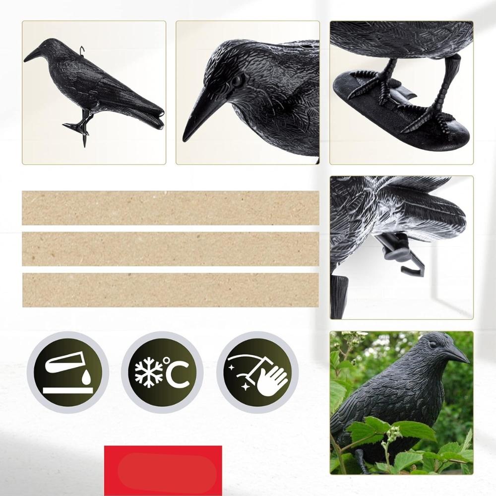Black raven - an effective bird repellent and garden decoration