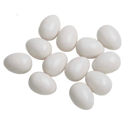 12pcs Simulated Pigeon Eggs Plastic for Hatching Supplies Suitable for Training and Developing Pigeon Instincts
