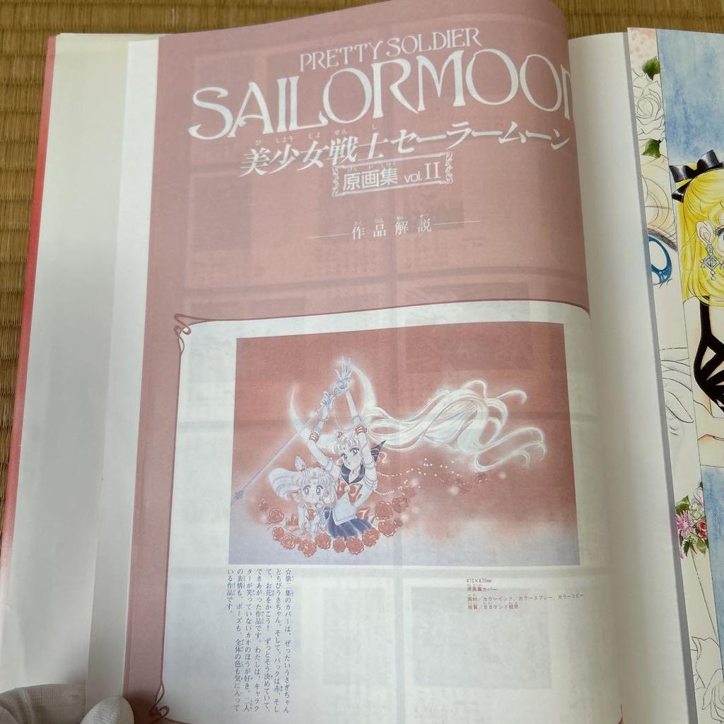 [USED] Sailor Moon Art Book vol.2 + Illustrations with Files