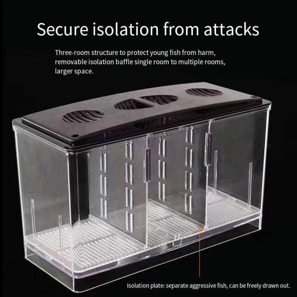 Multi Size Baby Fish Hatching Incubator Box Acrylic Betta Fish Tank Divider  Shrimp